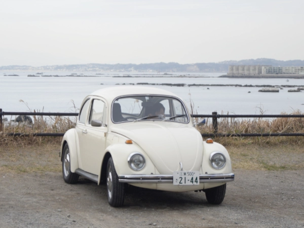 my beetle