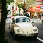 Air cooled beetle