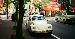 Air cooled beetle