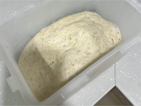 10時間でふくらむ。