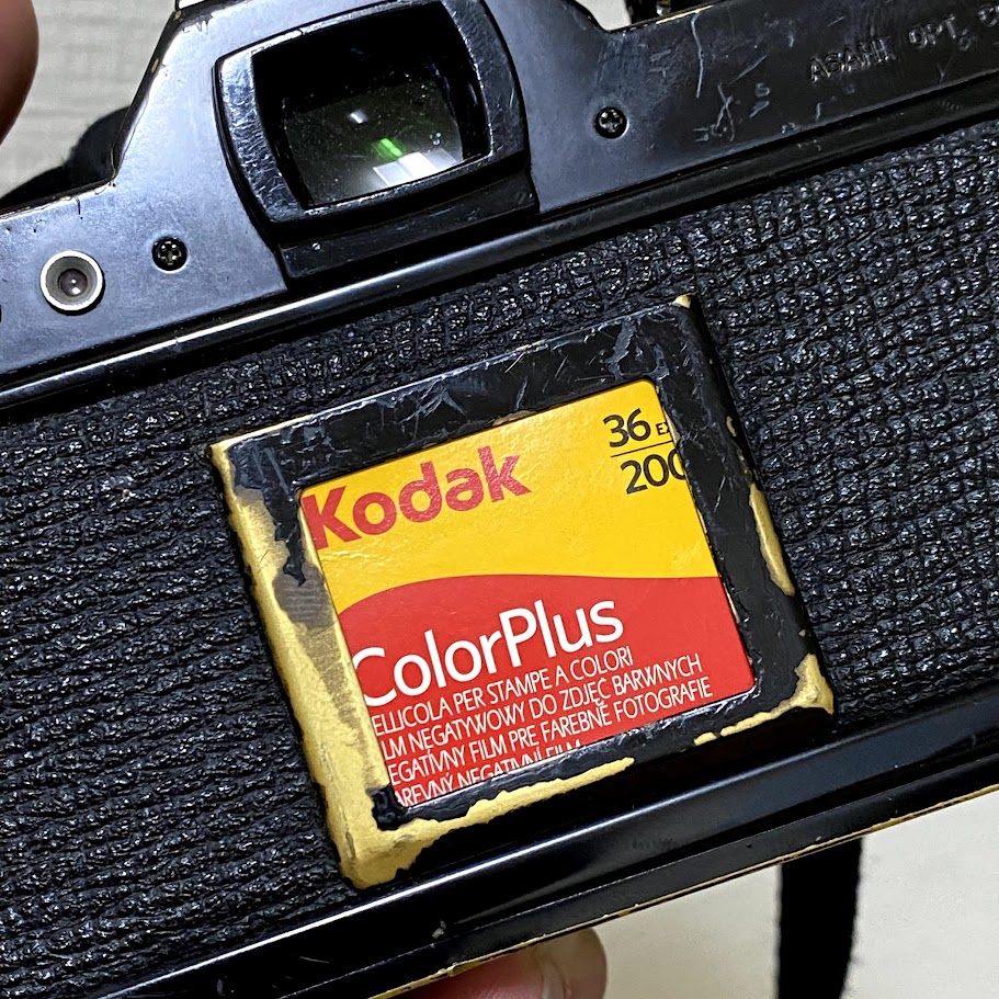 the back of my camera